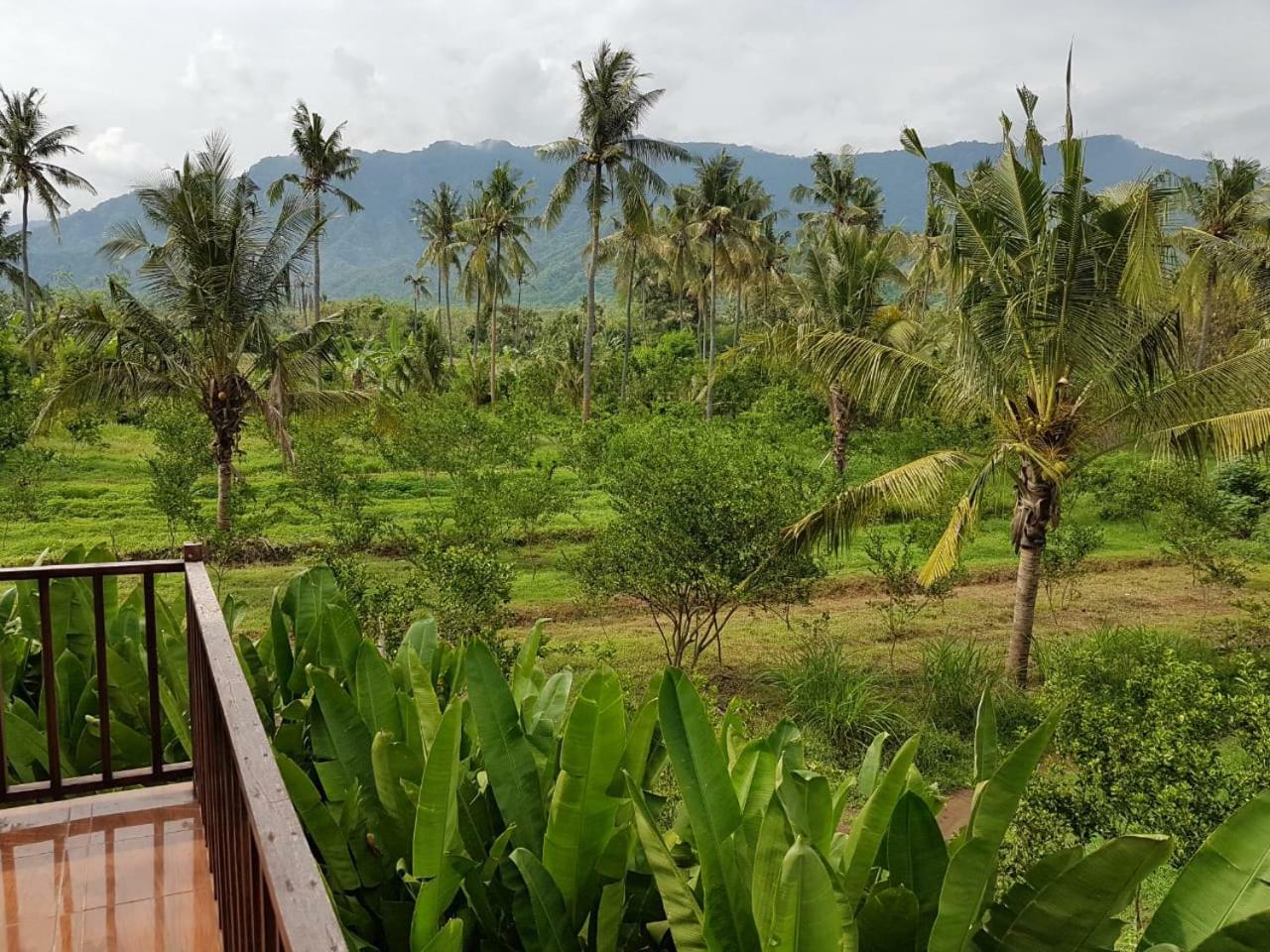 Buana Ecofarm Ecolodge Grokgak Exterior foto