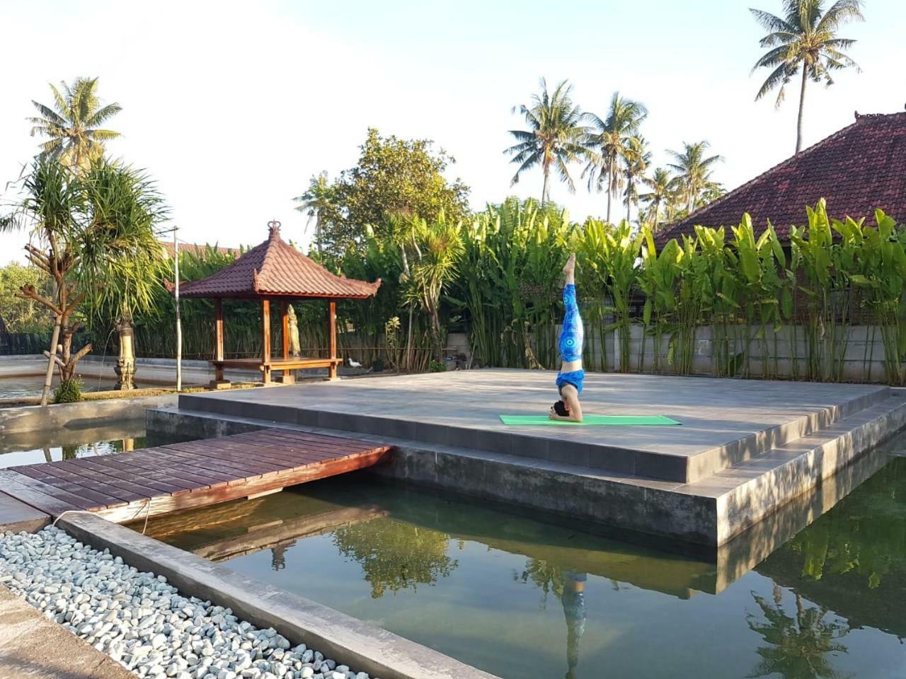 Buana Ecofarm Ecolodge Grokgak Exterior foto