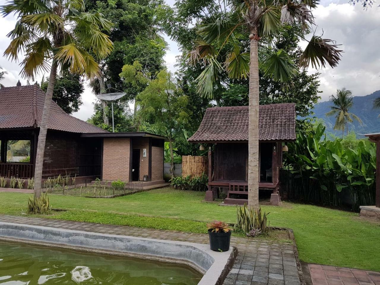 Buana Ecofarm Ecolodge Grokgak Exterior foto